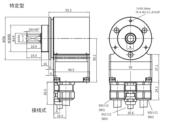 FD100.20-58X20特定型尺寸图 .jpg